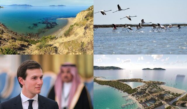 Lumi i fundit i egër i Europës/ Delta e Vjosës dhe lagunat e saj do të bëhen “viktimat” e një sërë investimesh nga Jared Kushner