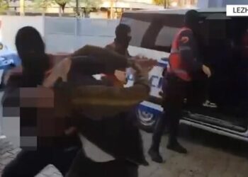 EMRAT/ Shisnin drogë pranë shkollave, arrestohen 5 persona në Lezhë, sekuestrohen mbi 2400 fara kanabisi