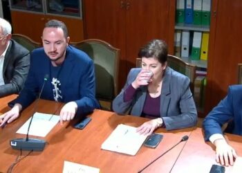 Salianji: Policia e Shtetit ka dështuar, bandat emërojnë shefat e komisariateve