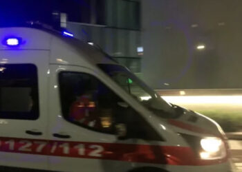 U tërhoq zvarrë nga një kafshë, vdes tragjikisht një person në Petrelë