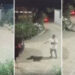 VIDEO/ Dalin pamjet/ Momenti kur 29-vjeçari zbraz armën ndaj kushëririt