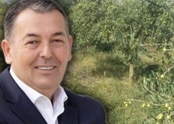 Çifligu i Ymer Markut në Bërxullë, zbulohet pronë tjetër 20 mijë m2 me ullinj