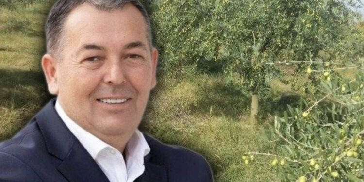 Çifligu i Ymer Markut në Bërxullë, zbulohet pronë tjetër 20 mijë m2 me ullinj