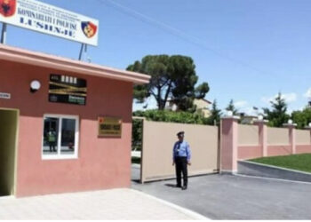 Krimi në Lushnje/ Fqinjët e pikëlluar: Vajza jetonte në Tiranë dhe…