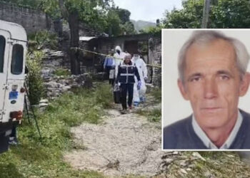 Burri vrau çiftin e të moshuarve, bashkëshortja: Të dënohet me varje