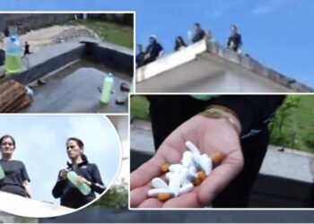 IKMT-ja i shemb shtëpinë, nëna: Kam katër fëmijë jetimë, do bëj si ajo e Shkodrës