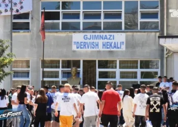 Skandali në Mallakastër, dublime masive të numrave të amzës në gjimnaz. “Viktimë” edhe drejtoresha e ZVA-së