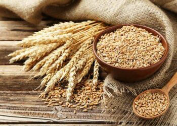 Çmimi i drithit të importuar, ulje vjetore me 42% në mars 2024, por buka nuk ndryshon