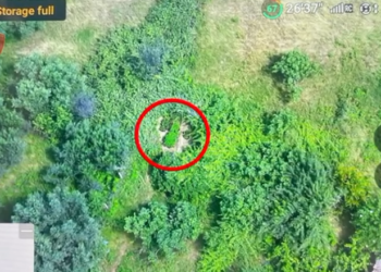 VIDEO/ Dronin te koka, babë e bir kapen “mat” në Vlorë