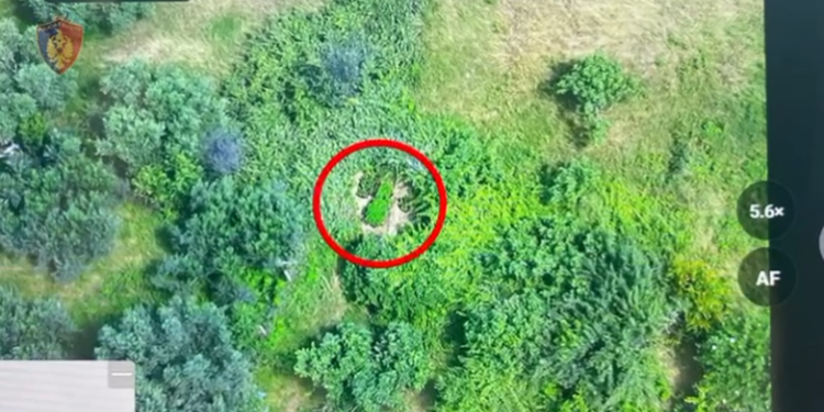VIDEO/ Dronin te koka, babë e bir kapen “mat” në Vlorë