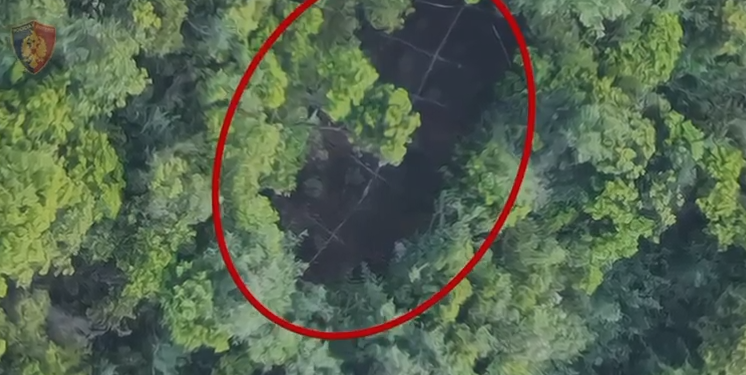 Kultivonte drogë në një pyll në Mukje, arrestohet 53-vjeçari në Krujë