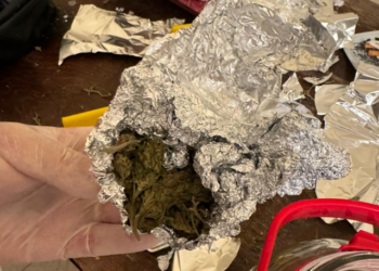 Arrestimi i punonjësit të policisë dhe 3 personave të tjerë në Fier, AMP sekuestron edhe 500 gr kanabis