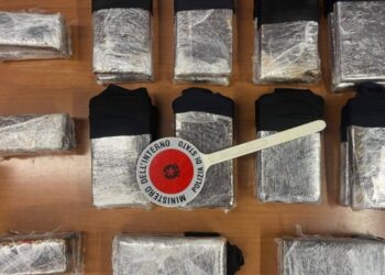 23 kg kokainë dhe 3.5 kg heroinë, trafik droge me autobus nga Shqipëria, arrestohen 2 persona në Itali