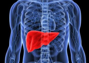 Mëlçia pastron gjakun dhe lufton infeksionet, shenjat e hershme që tregojnë se keni probleme me këtë organ