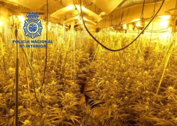 Shkatërrohet banda shqiptare e narkotikëve në Valencia, në pranga 2 persona