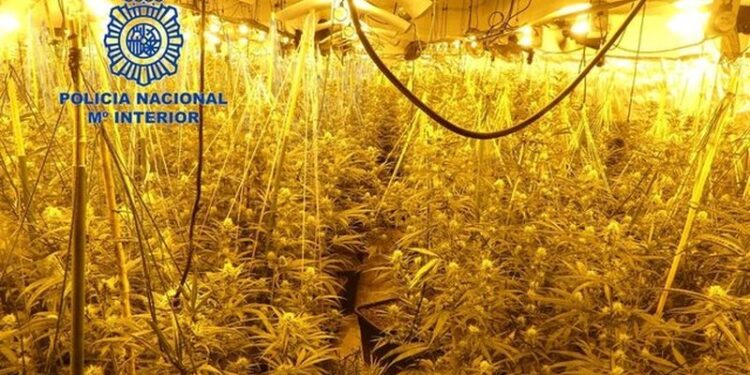 Shkatërrohet banda shqiptare e narkotikëve në Valencia, në pranga 2 persona
