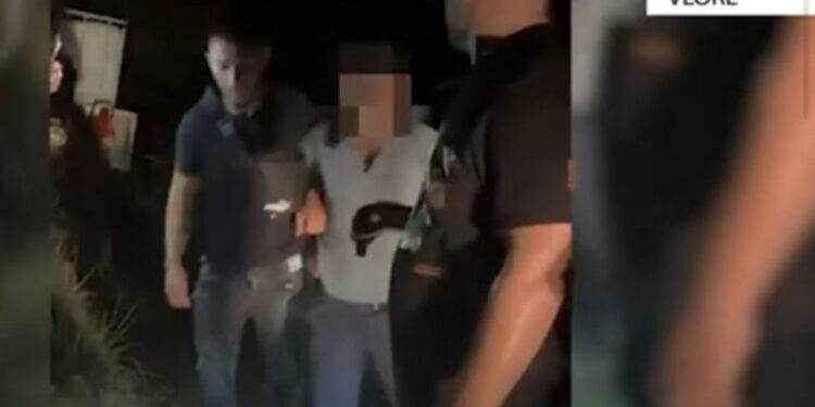 Vlorë, asgjësohen 320 bimë kanabis, arrestohen 2 persona, një në kërkim