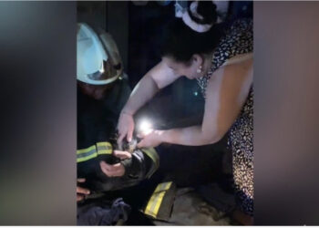 Një moment sa i dhimbshëm po aq edhe human, zjarrfikësit shpëtojnë kotelen që ndodhej mes flakëve në Shkodër