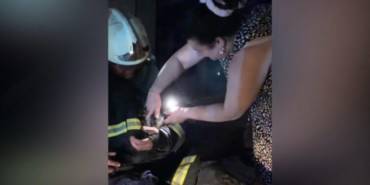 Një moment sa i dhimbshëm po aq edhe human, zjarrfikësit shpëtojnë kotelen që ndodhej mes flakëve në Shkodër