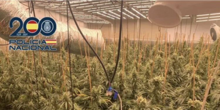 Punonin në një shtëpi bari, arrestohet çifti i shqiptarëve në Spanjë