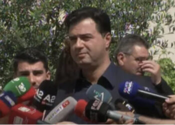 Vendimi i Apelit, Basha para nisjes së seancës plenare: Tani që janë të çliruar nga ankthi i vulës…