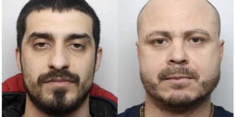 “Përrallë e trishtë”, mediat britanike: Hidrauliku dhe punëtori i ndërtimit shqiptar kapen në fermën e kanabisit, do shlyenin borxhet