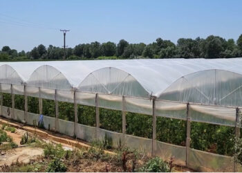 OLAF zbardh skemën korruptive më fondet e IPARD në Shqipëri: Përfituesit zgjidheshin me konkurse të manipuluara