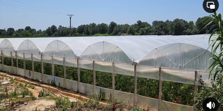 OLAF zbardh skemën korruptive më fondet e IPARD në Shqipëri: Përfituesit zgjidheshin me konkurse të manipuluara