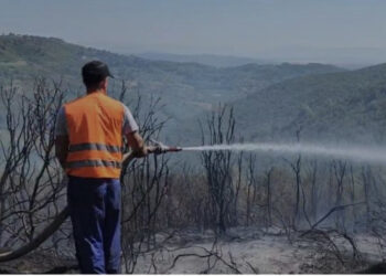 Zjarri masiv ‘’pushton’’ 5 hektarë sipërfaqe toke me ullinj në Fier, dhjetëra mjete të zjarrfikëses në vendngjarje