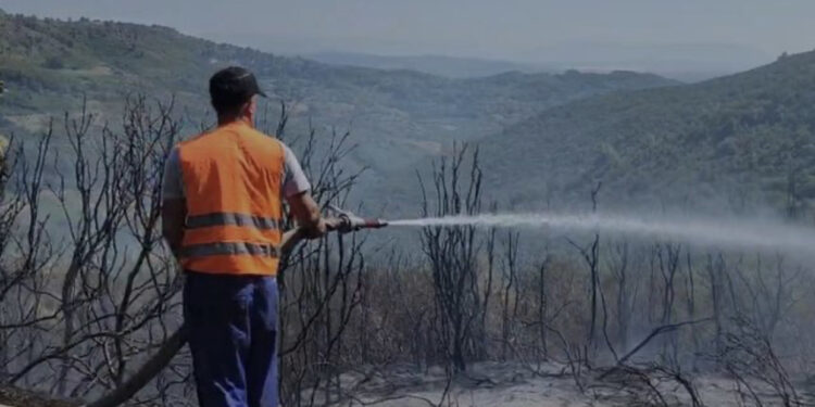 Zjarri masiv ‘’pushton’’ 5 hektarë sipërfaqe toke me ullinj në Fier, dhjetëra mjete të zjarrfikëses në vendngjarje