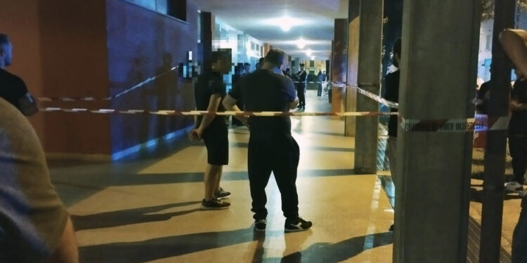 Shkoi për të takuar mbesën, italiani tall dhe vret shqiptarin