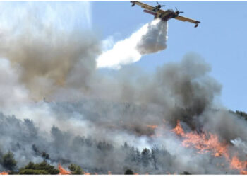 VIDEO/ Greqia në flakë, zjarrfikësit në luftë me zjarret