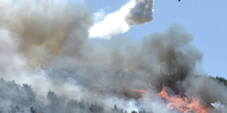 VIDEO/ Greqia në flakë, zjarrfikësit në luftë me zjarret