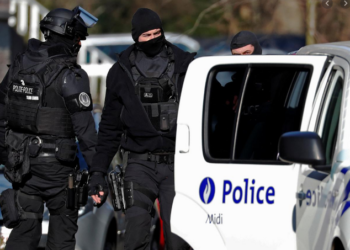 Operacion ndërkombëtar kundër organizatës kriminale shqiptare/ Sekuestrohen 100 kg drogë, 17 persona vihen në pranga