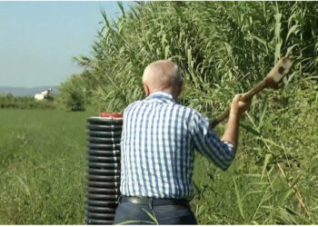 Thirrja e fortë e Metës: Merrni armët në dorë, unë kallashin, di të qëlloj mirë