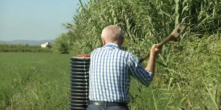 Thirrja e fortë e Metës: Merrni armët në dorë, unë kallashin, di të qëlloj mirë