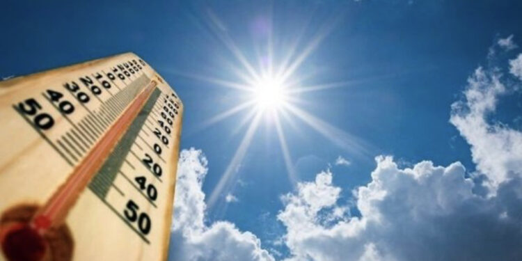 Parashikimi i motit për sot, 22 qershor 2024