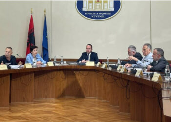 Nga drejtoresha e SHISH te Ardi Veliu, ja kush do të dëshmojë në Komisionin e TIMS