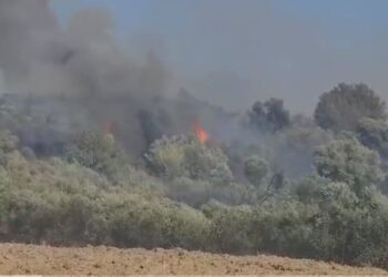 Përfshihet nga flakët një kasolle në Tepelenë, zjarri rrezikon banesat në zonë