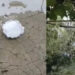 Shumë pranë Tiranës! E FUNDIT: Breshëri sa një “top bejsbolli”, shkatërron gjithçka…