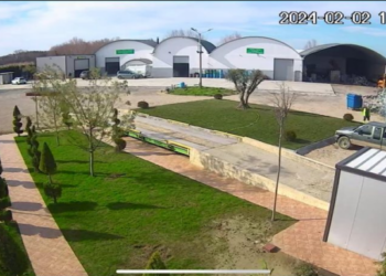 Gjykata e Apelit lë në fuqi masën e sigurisë për administratorin Elvis Mirin