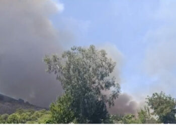Gjirokastër/ Zjarr në pyllin me pisha në lagjen Gërhot, kërkohet ndihmë nga forcat vullnetare