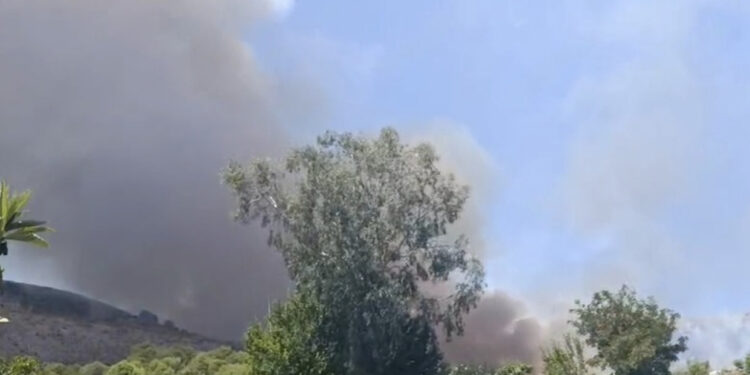 Gjirokastër/ Zjarr në pyllin me pisha në lagjen Gërhot, kërkohet ndihmë nga forcat vullnetare