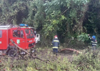 Përkeqësohet moti në Elbasan, shirat e rrëmbyeshëm shkulin pemët dhe dëmtojnë disa biznese