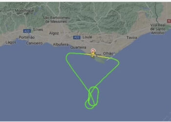 Avioni me 161 pasagjerë bën ulje të detyruar, u godit nga një zog