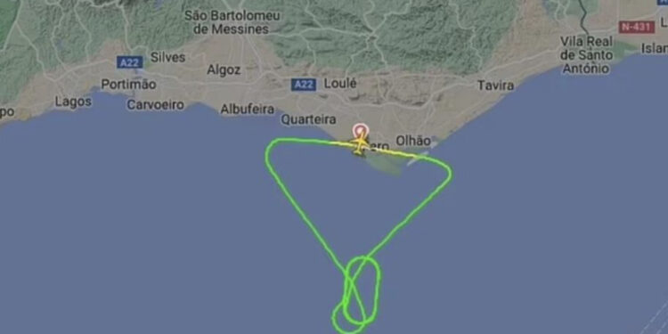 Avioni me 161 pasagjerë bën ulje të detyruar, u godit nga një zog