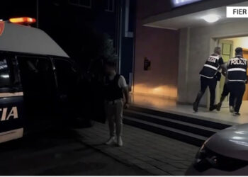 VIDEO-Momenti i arrestimit të vrasësit në Fier