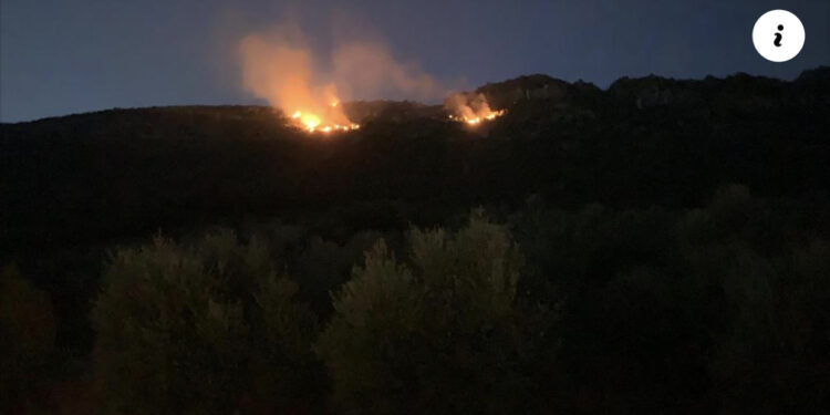 Tjetër vatër zjarri në Lezhë, digjet një pjesë e malit në Torovicë