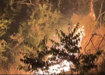 Zjarri në Ranën e Hedhun jashtë kontrollit, rrezikohen banesa dhe biznese