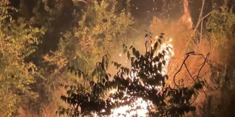 Zjarri në Ranën e Hedhun jashtë kontrollit, rrezikohen banesa dhe biznese